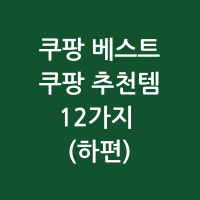 쿠팡 베스트 쿠팡 추천템 12가지 하편 썸네일 사진