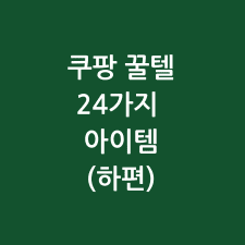 쿠팡 꿀템 24가지 아이템 하편 썸네일