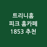 트리니홈 피크 홈카페 1853 추천