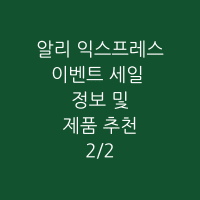 알리 윈터 이벤트 축제 썸네일